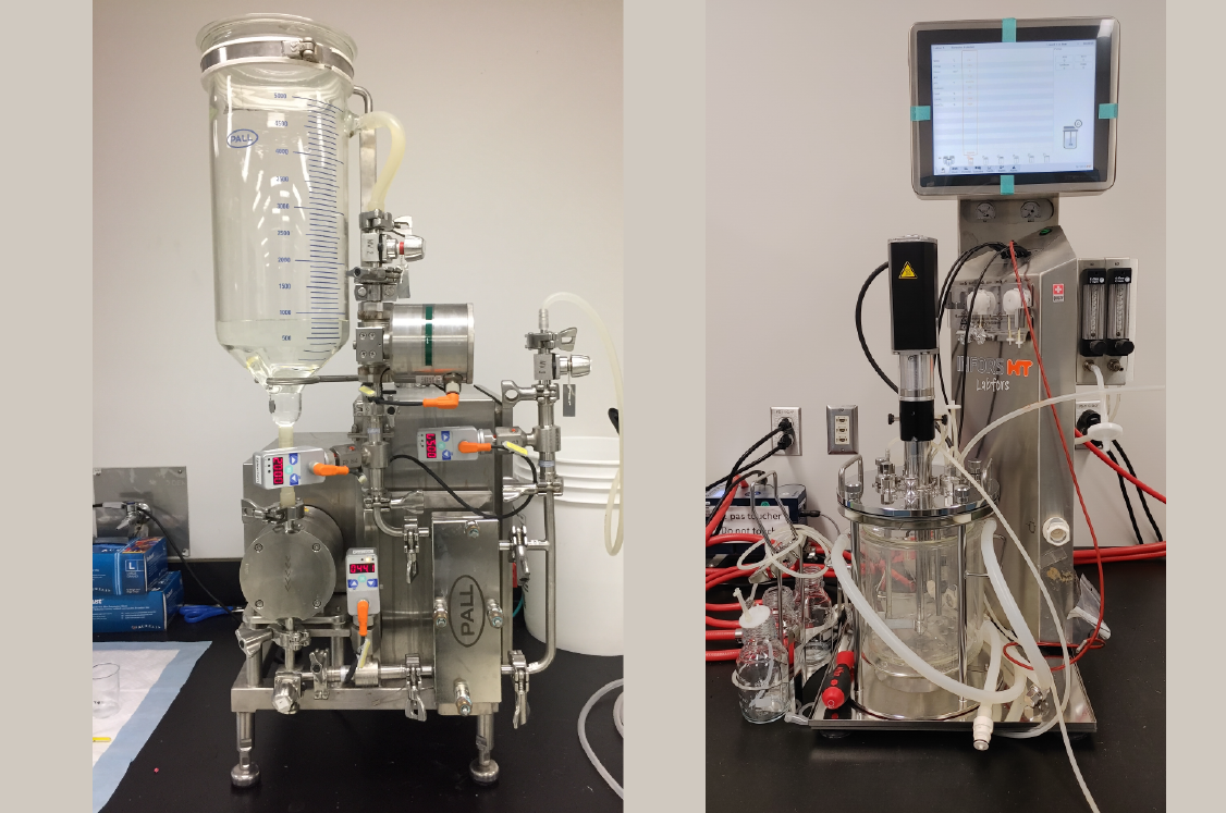 Microfiltration et Fermenteur solide de 5L